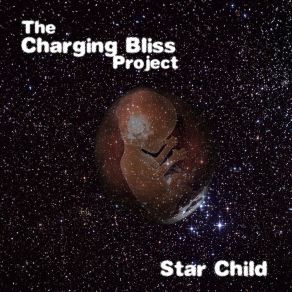 Download track Sunset Acid Trip The Charging Bliss Project