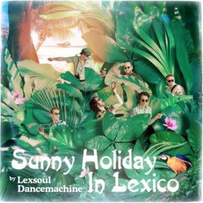 Download track Coconuts Lexsoul Dancemachine