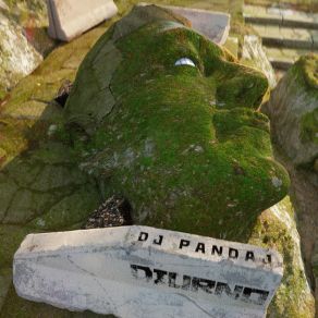 Download track Liquid Skater DJ PANDAJ