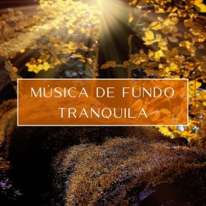 Download track Música Espiritual De Águas Calmas Dormir Profundamente