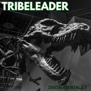 Download track TECH STEP 500 (Instrumental) TribeleaderΟΡΓΑΝΙΚΟ