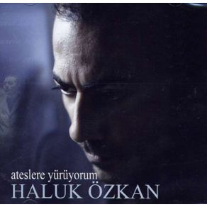 Download track Akıp Gitti Günlerimiz Haluk Özkan