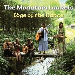 Download track King Of The Fairies / Cooley's Reel The Mountain Laurels