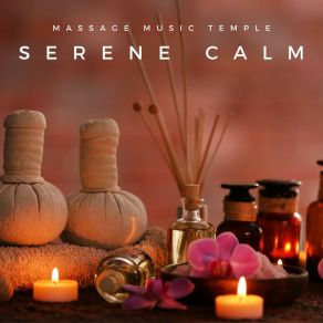 Download track Radiant Beauty Massage Music Zone