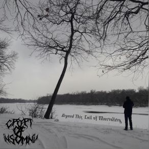 Download track Momentarily And Ephemeral Crypt Of Insomnia