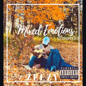 Download track Mixed Emotions Zeezy