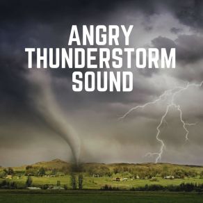 Download track Ongoing Rain, Pt. 19 Thunder Storms Sounds