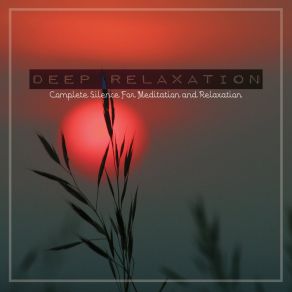 Download track Complete Silence For Meditation And Relaxation, Pt. 5 Craig Hewitt