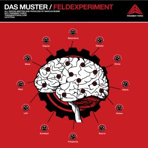 Download track Wellenformen Das Muster