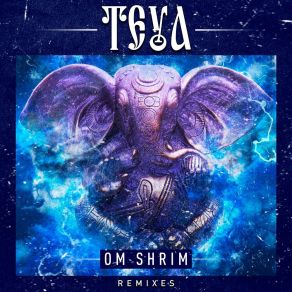 Download track Om Shrim (DJ Shaman Remix) Teya