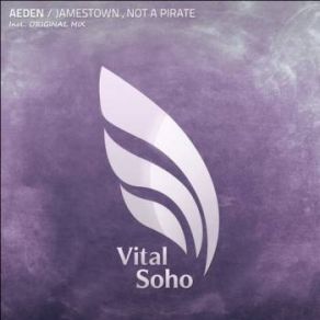 Download track Not A Pirate (Original Mix) Aeden