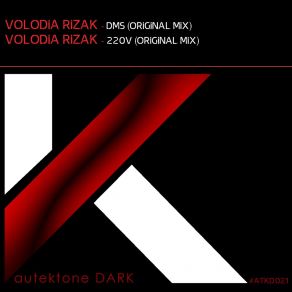 Download track 220V Volodia Rizak