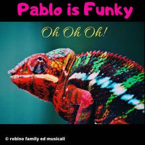 Download track With The Hand In The Sky Pablo Is Funky