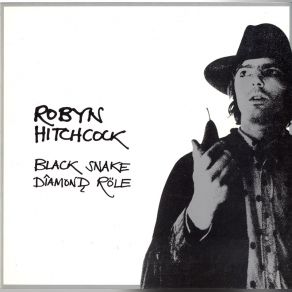 Download track It's A Mystic Trip Robyn Hitchcock