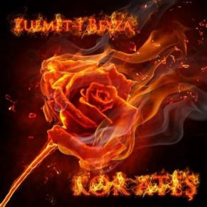 Download track Bizar Zulmet-I Beyza