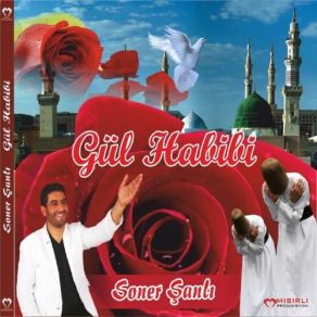 Download track Gül Habibi Soner Şanlı