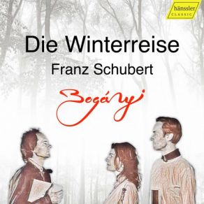 Download track Winterreise, Op. 89, D. 911: No. 18, Der Stürmische Morgen Gergely Boganyi, Bence Boganyi, Clara Dent-Bóganyi