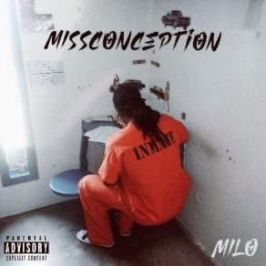 Download track Why They Hatin Milo