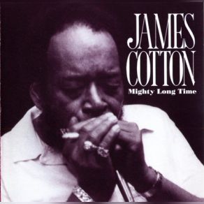 Download track Three Hundred Pounds Of Joy James Cotton