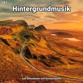 Download track Hintergrundmusik Pt. 48 Entspannungsmusik