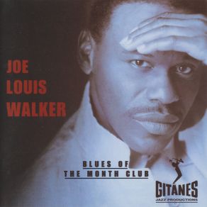 Download track I'm Not Comin' Over Joe Louis Walker