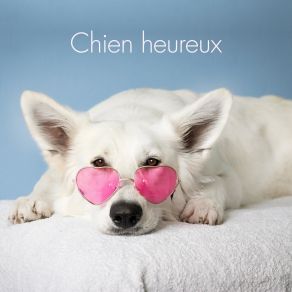 Download track Piano Pour Animaux RW Musique De Pour Chiens