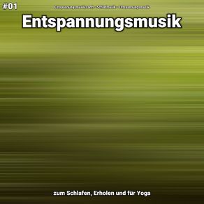 Download track Entspannungsmusik Teil 60 Entspannungsmusik