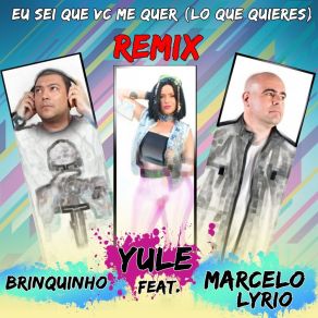 Download track Eu Sei Que Você Me Quer (Remix) Yule