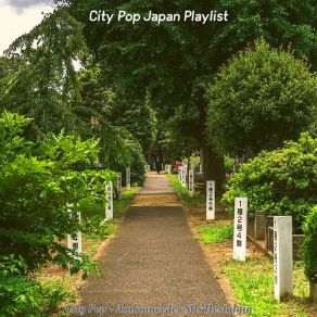 Download track Breathtaking Easy Listening Disco - Vibe For 70s Vibes City Pop Japan Playlist