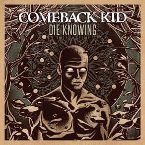 Download track Should Know Better The Comeback Kid