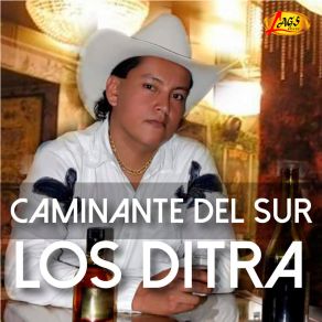 Download track No Confio En Nadie Caminante Del Sur