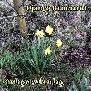 Download track Bouncin' Around Django Reinhardt