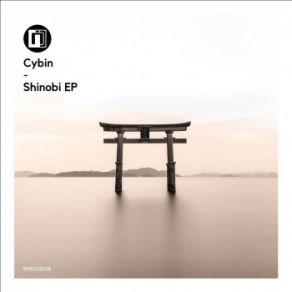 Download track Be Strong Cybin