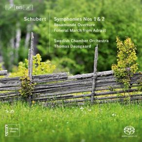 Download track Symphony No. 1 In D Major, D82 1813 - IV. Allegro Vivace Franz Schubert, Swedish Chamber Orchestra