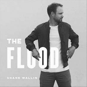 Download track Snow Falling Down Shane Wallin