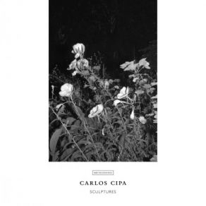 Download track Cipa Lilac Threads Carlos Cipa