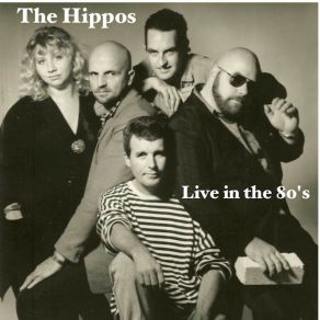 Download track One Time Around (Live) The Hippos