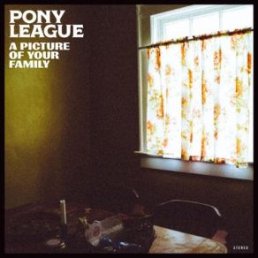 Download track The Run Of Your Life Pony League