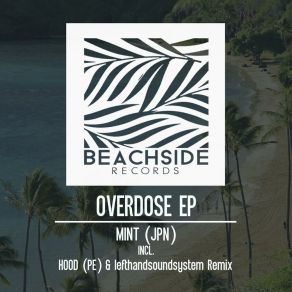 Download track Overdose (Original Mix) MINT (JPN)