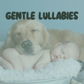 Download track Ambient Melodies For Sleeping, Pt. 13 Relaxing Baby Sleeping Songs