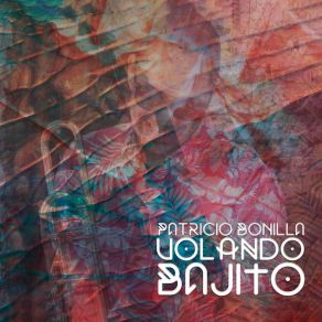 Download track Volando Bajito Patricio Bonilla