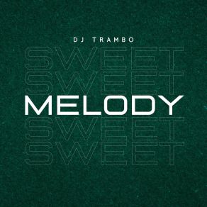 Download track Dancing All Night Dj Trambo