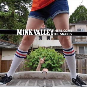 Download track Surf Honey Mink Valley