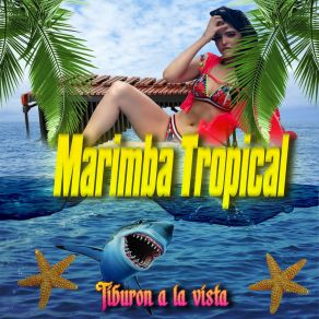 Download track Tabaco Mascao Marimba Tropical