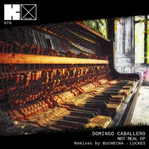 Download track Destroyer (Original Mix) Domingo Caballero