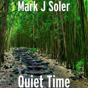 Download track Quiet Time Mark J Soler