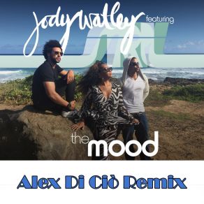 Download track The Mood (Radio Edit) SRL