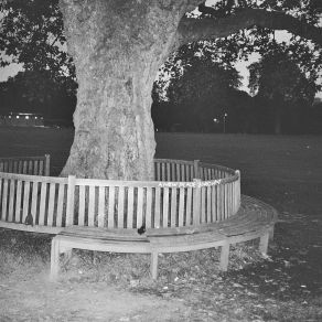 Download track Dull Boys Archy Marshall