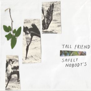 Download track Apoptosis Tall Friend