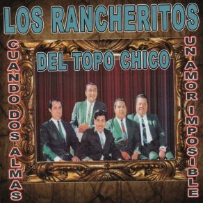 Download track Besos De Amor Los Rancheritos Del Topo Chico